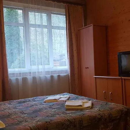 Karpatski Zori Hotel *