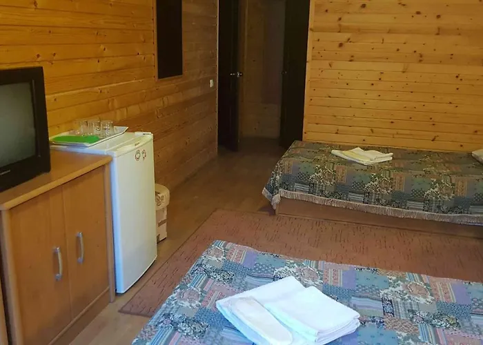 Hotel Karpatski Zori *