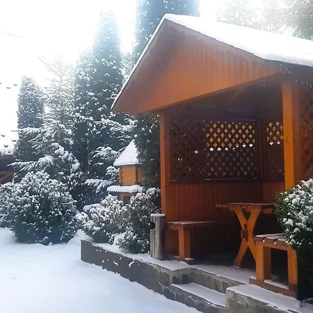 Karpatski Zori *